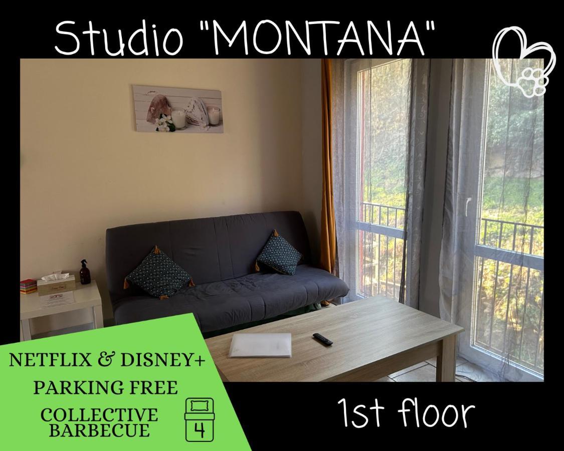 L'Arizona Dinant - Studio Montana - Barbecue, Free Parking, Dog Ok Exteriör bild